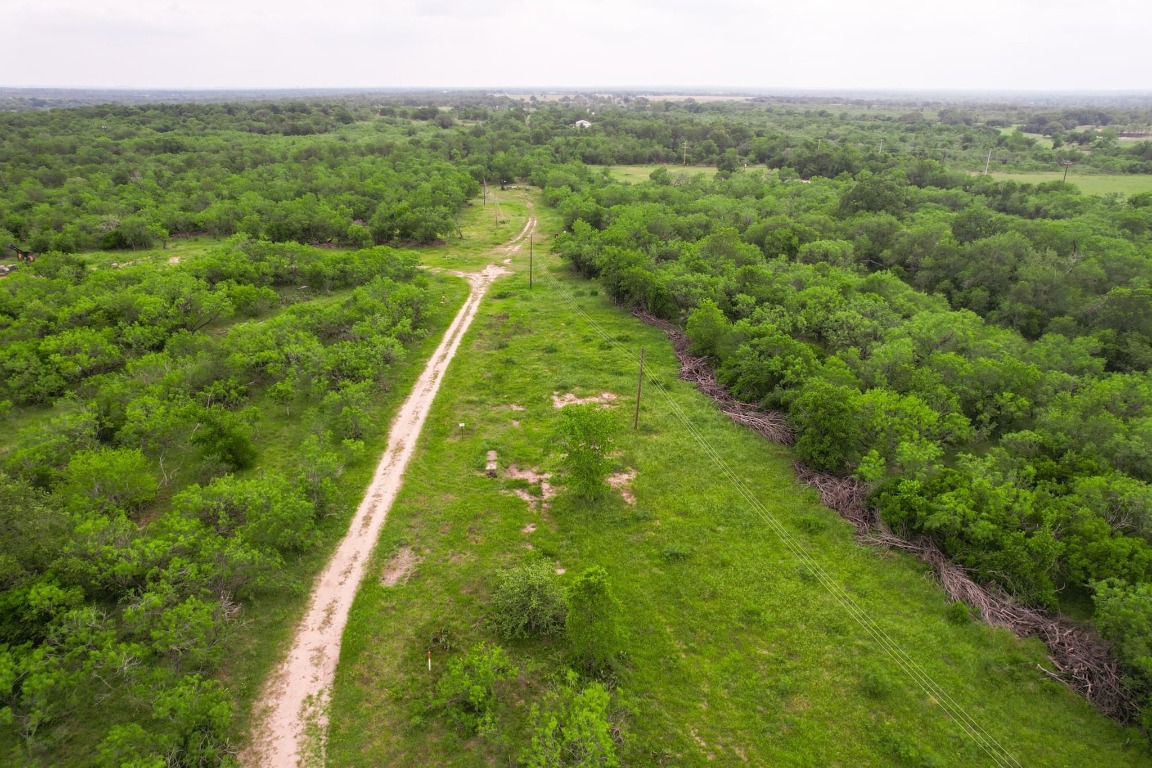 0 San Marcos Highway Luling, TX 78648 - Photo 25 of 35 a view of a lush green forest with trees and some houses