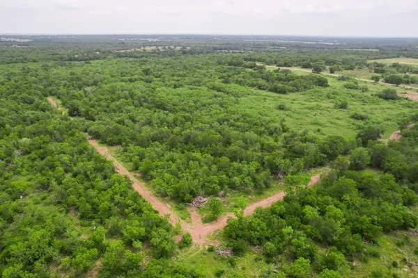 a view of a lush green forest with trees and some houses