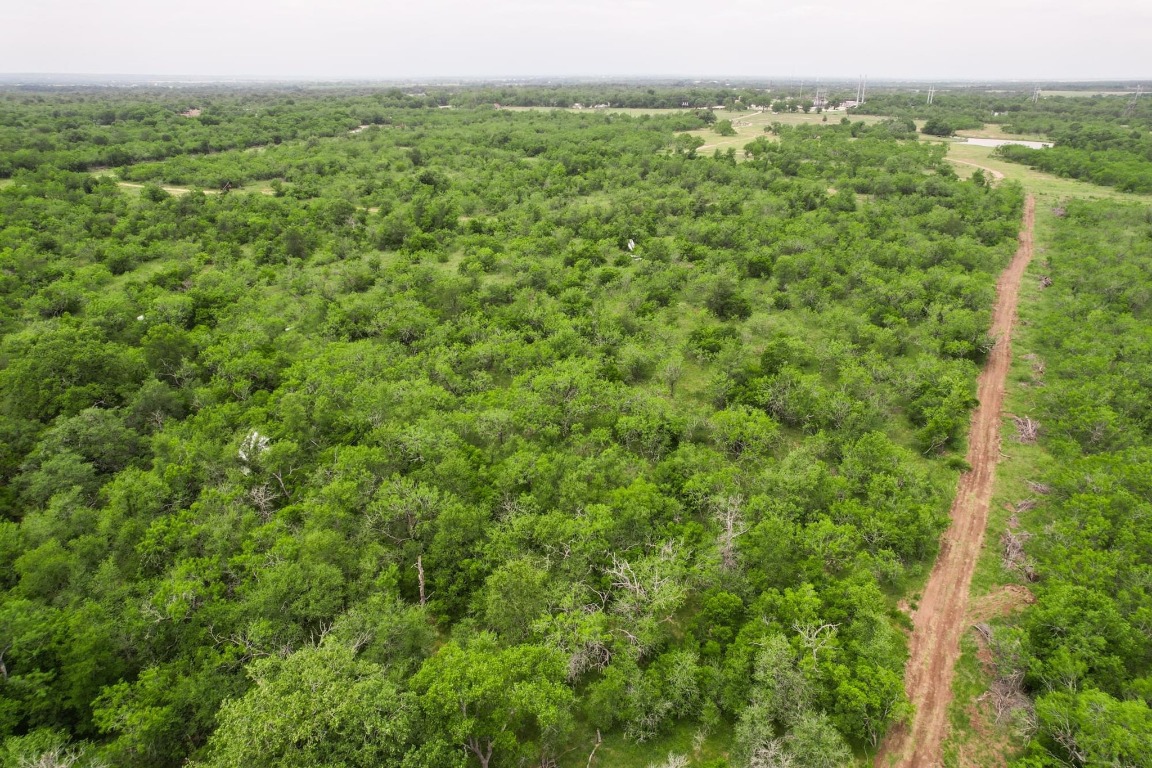 0 San Marcos Highway Luling, TX 78648 - Photo 29 of 35 a view of a green field with lots of bushes