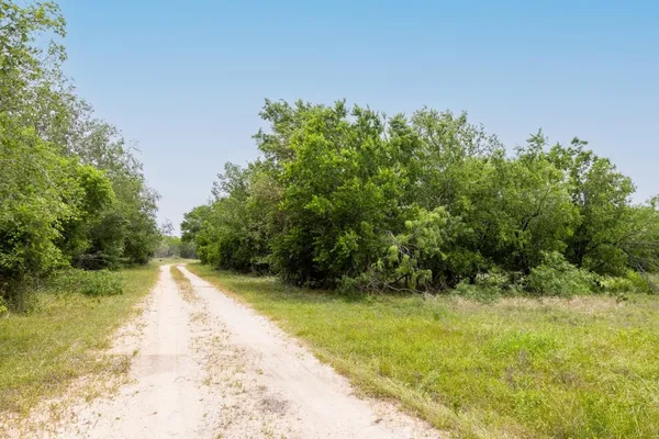 a view of a yard with a tree
