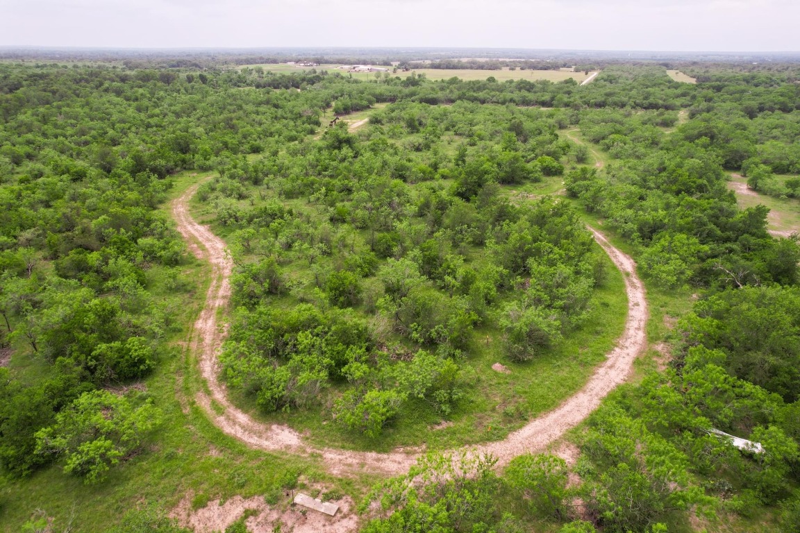 0 San Marcos Highway Luling, TX 78648 - Photo 32 of 35 a view of a lush green forest with a building in the background
