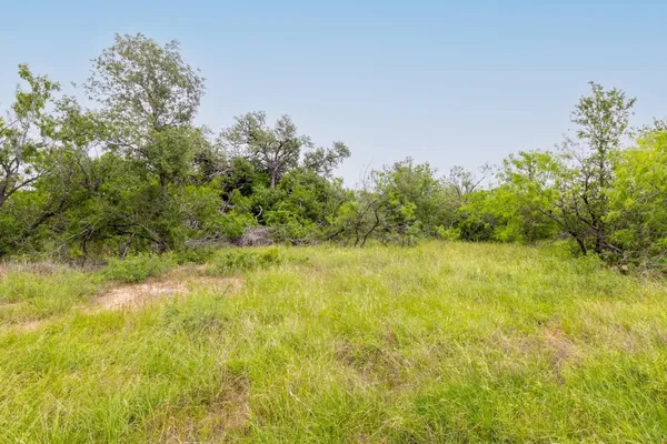 a view of a lake with plants and large trees