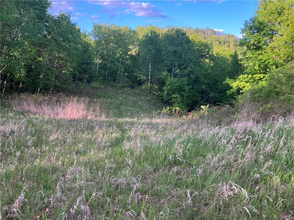 N3953-201 Bear Pen Road Arkansaw, WI 54721 - Photo 26 of 43
