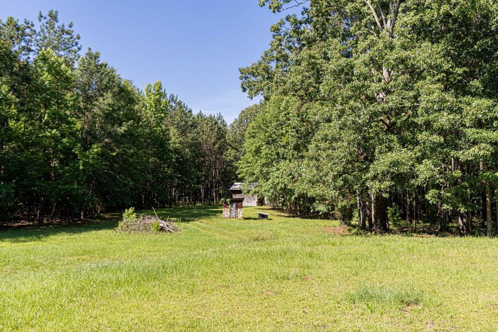 231 Lower Lovelace Road West Point, GA 31833 - Photo 1 of 49