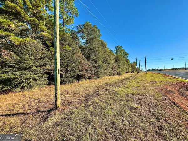 a view of a yard