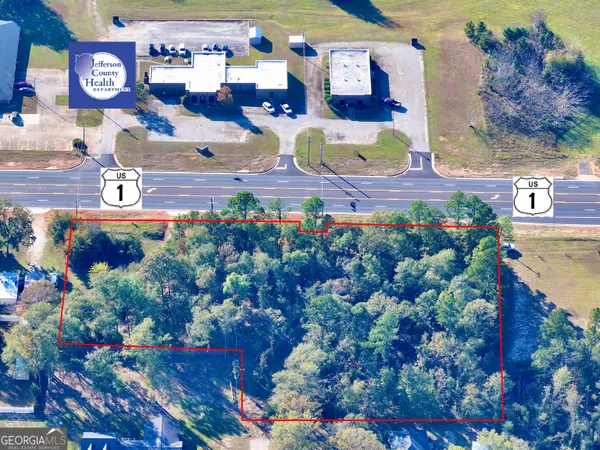 a view of a bunch of flowers