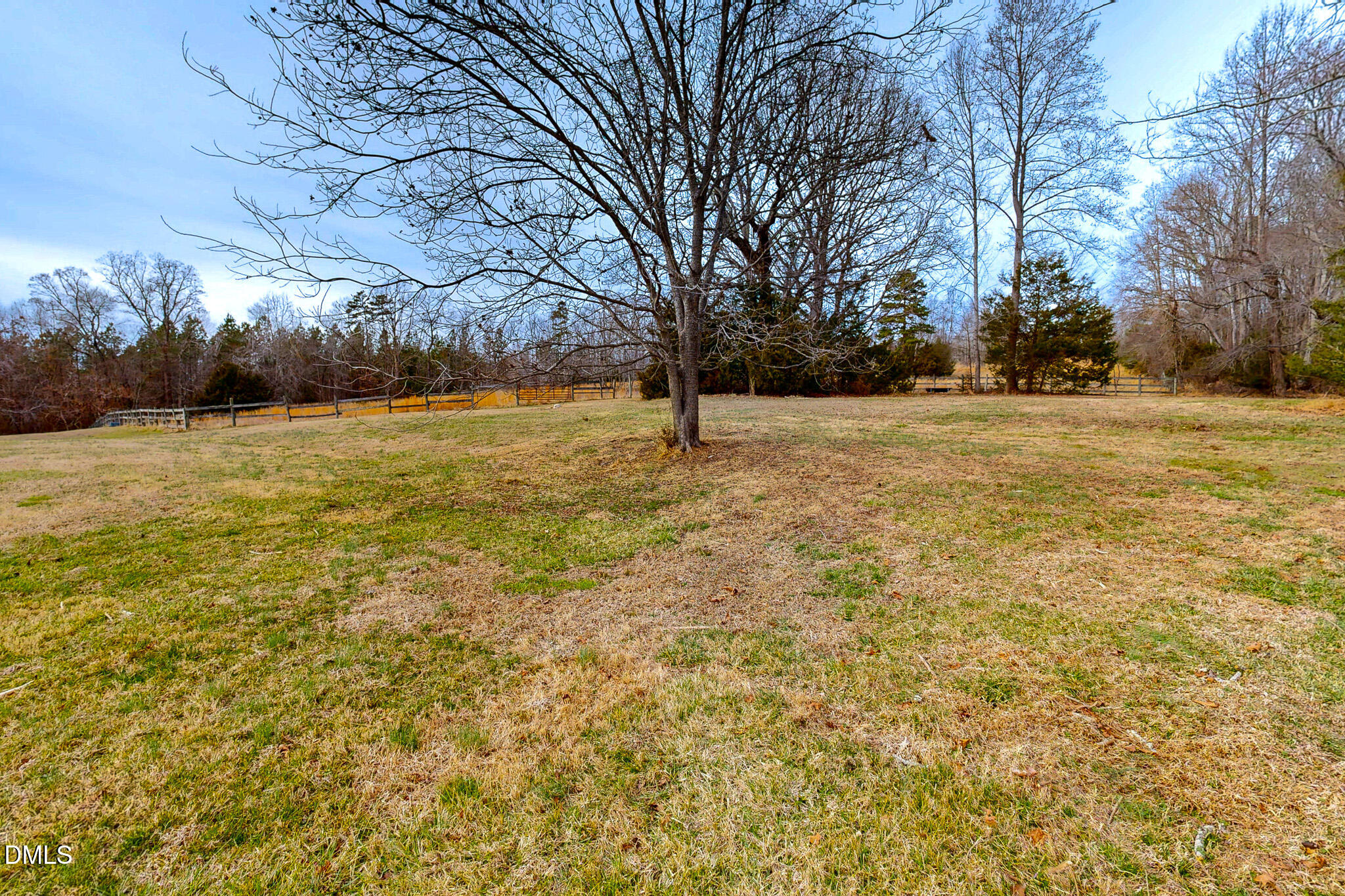 460 Medford Oakley Road Rougemont, NC 27572 - Photo 32 of 36 a view of yard with trees
