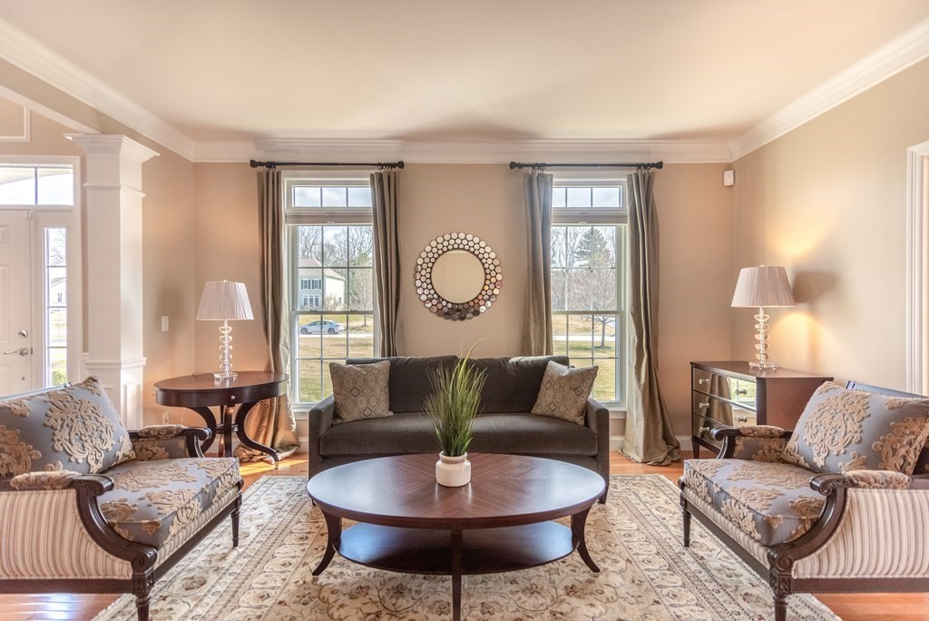 74 Canterbury Hill Road Acton, MA 01720 - Photo 6 of 37 a living room with furniture or couch and a potted plant