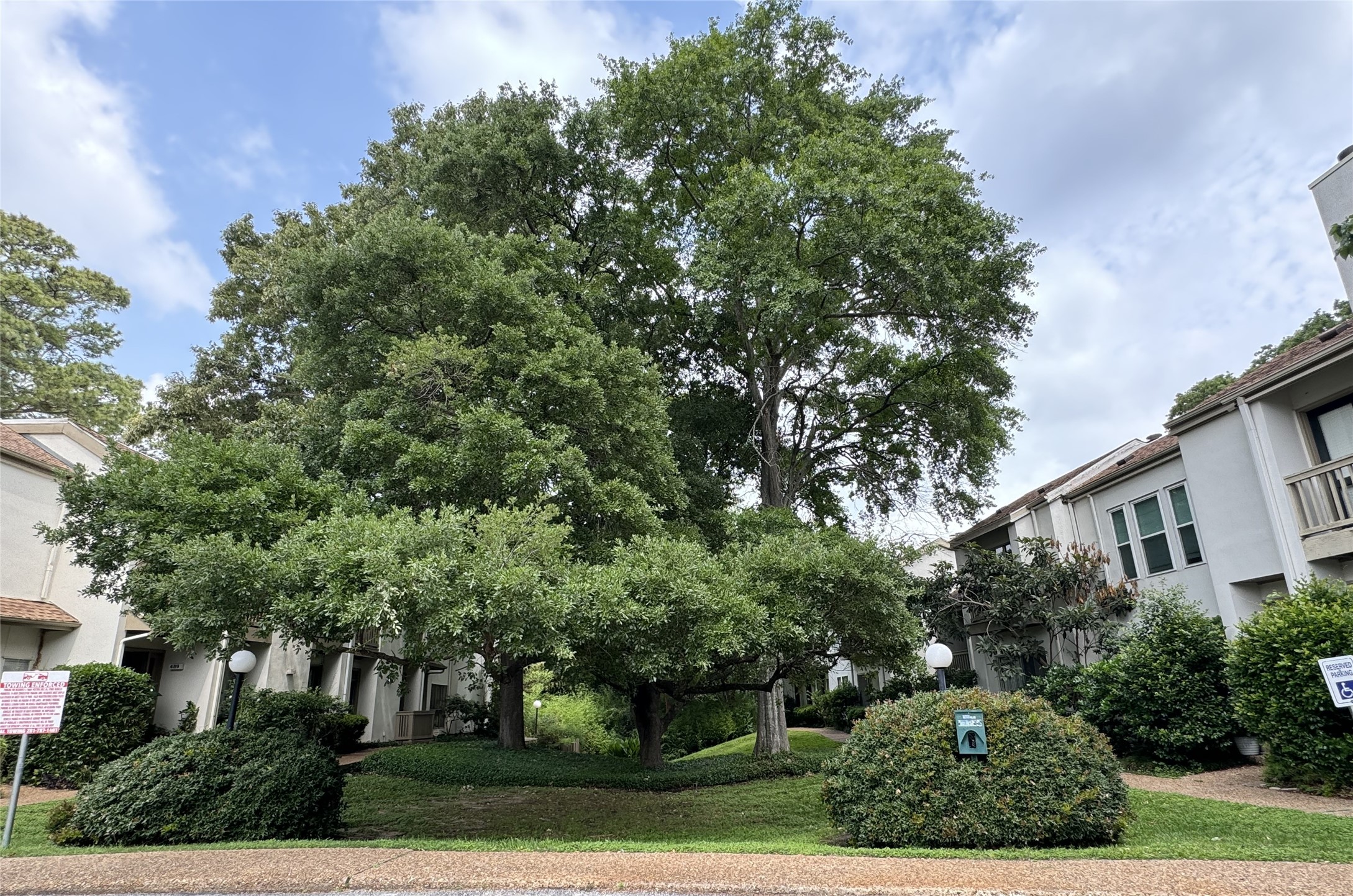 2100 Tanglewilde Street, Unit 626 Houston, TX 77063 - Photo 28 of 36 Luscious greenery and walking paths throughout the community
