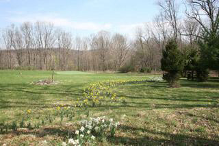 40 Daheim Road Millbrook, NY 12545 - Photo 12 of 15