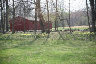 40 Daheim Road Millbrook, NY 12545 - Photo 13 of 15