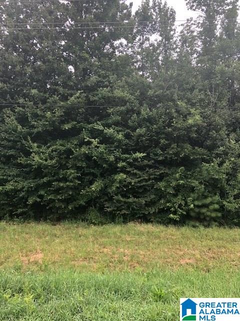 Berney Station Road, Unit 9 5 Lineville, AL 36266 - Photo 2 of 5