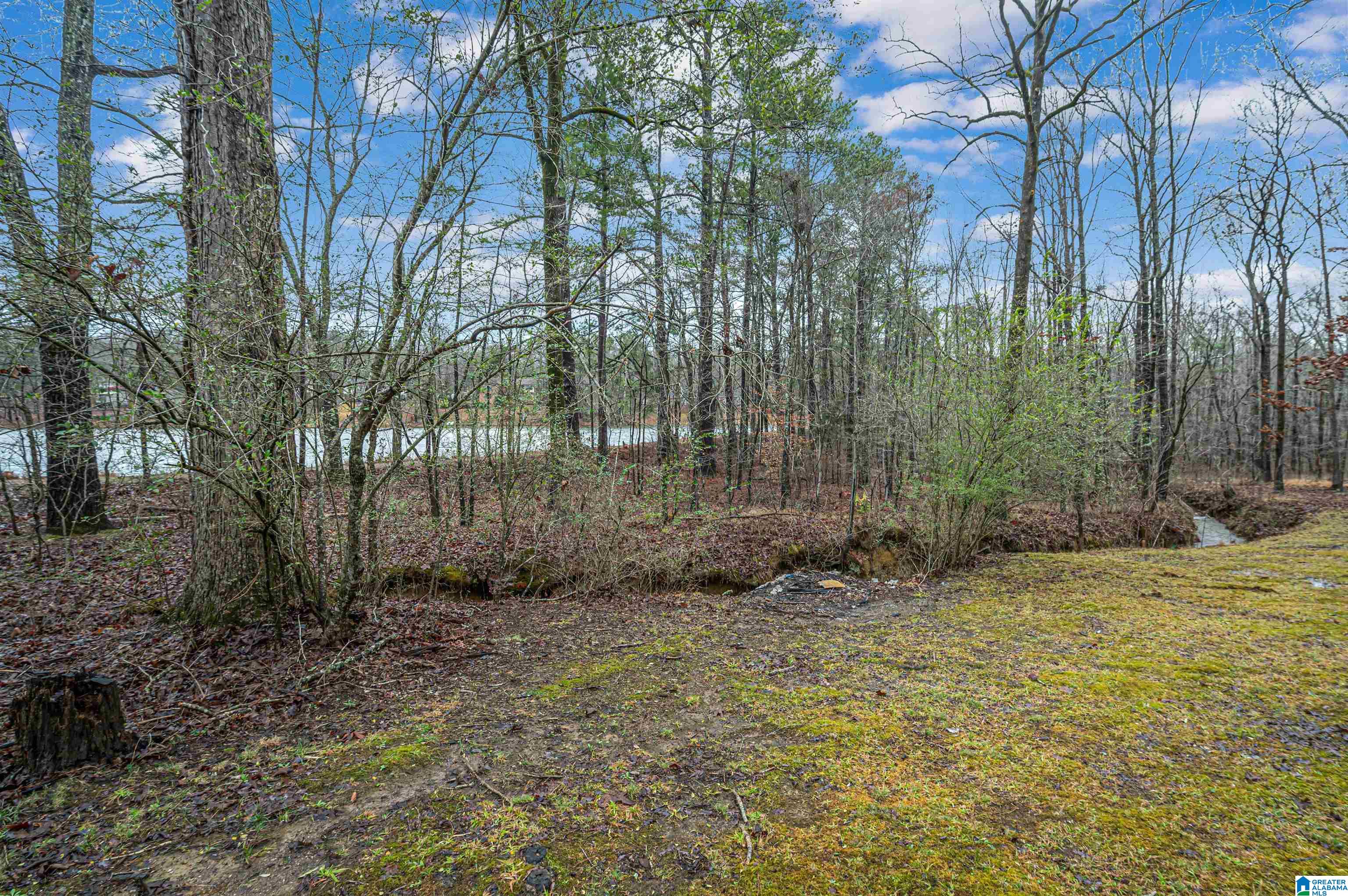 7770 Beach Street McCalla, AL 35111 - Photo 29 of 31