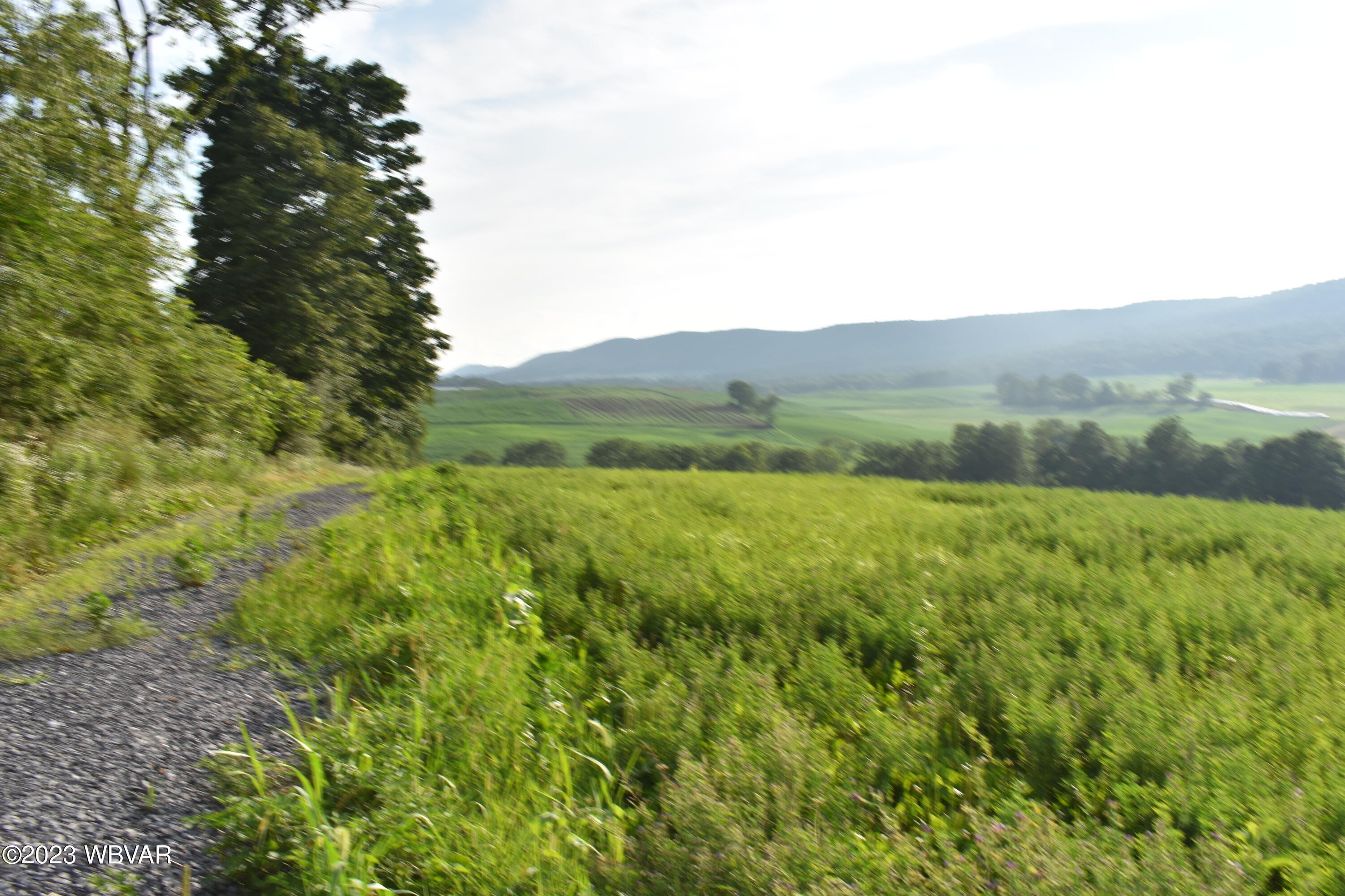 0 Fox Hollow Road Mill Hall, PA 17751 - Photo 10 of 15 Gallery Image 10