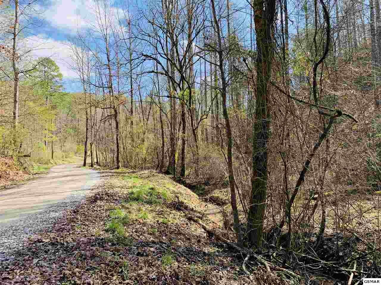 9 Sulpher Springs Road Sevierville, TN 37862 - Photo 9 of 12 Gallery Image 9