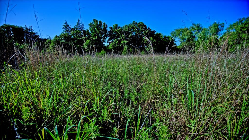 218 Illinois Bend Road St. Jo, TX 76265 - Photo 12 of 16 Gallery Image 12