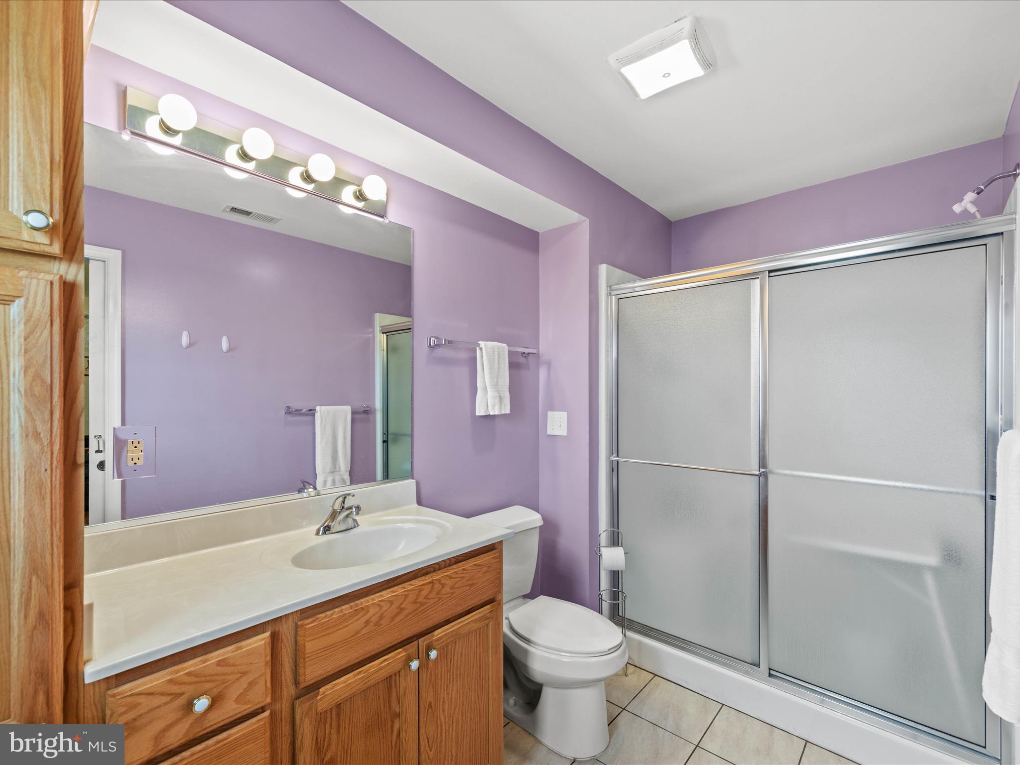 29641 Sawyer Loop, Unit 20 Millsboro, DE 19966 - Photo 18 of 37 Downstairs primary bath