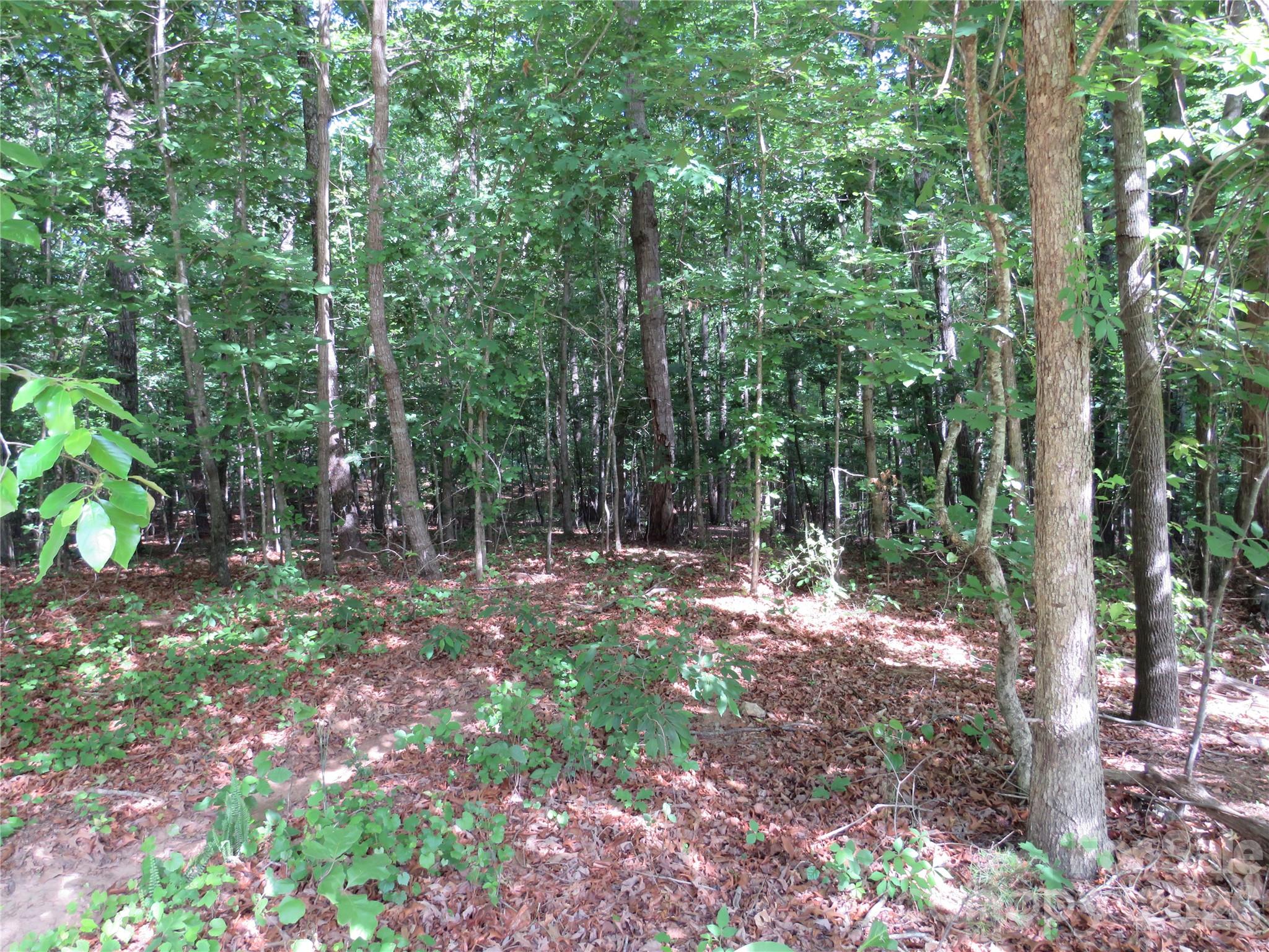 0 South Woodleaf Road Forest City, NC 28043 - Photo 1 of 21