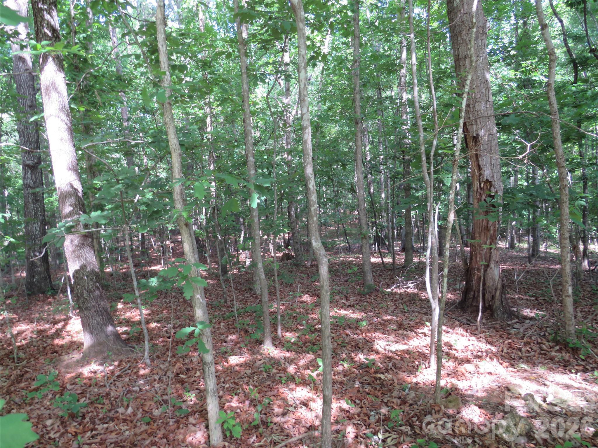 0 South Woodleaf Road Forest City, NC 28043 - Photo 11 of 21