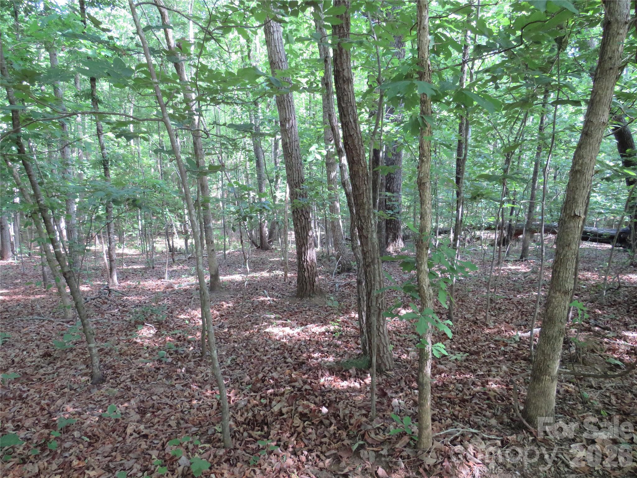 0 South Woodleaf Road Forest City, NC 28043 - Photo 13 of 21
