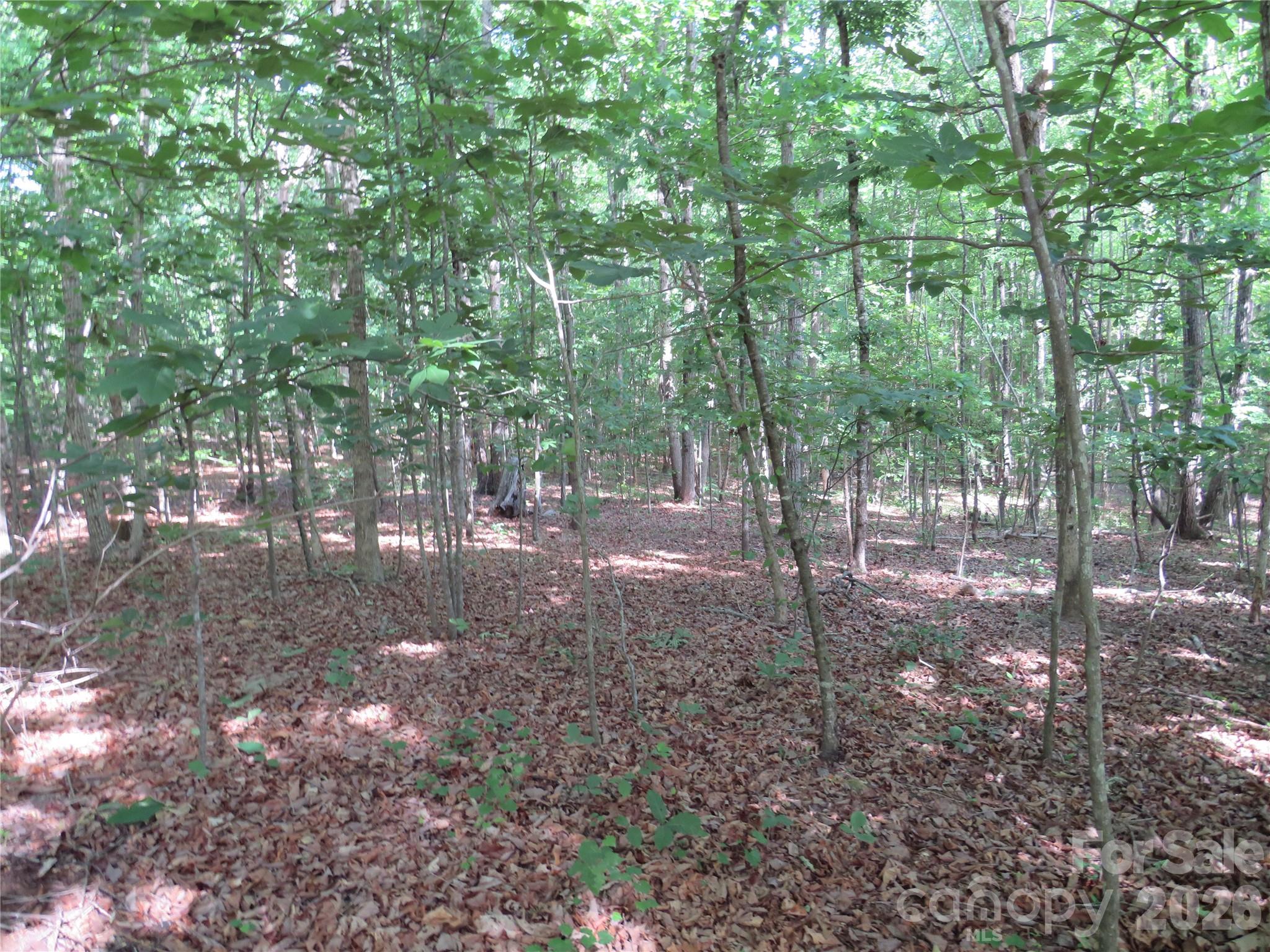 0 South Woodleaf Road Forest City, NC 28043 - Photo 14 of 21