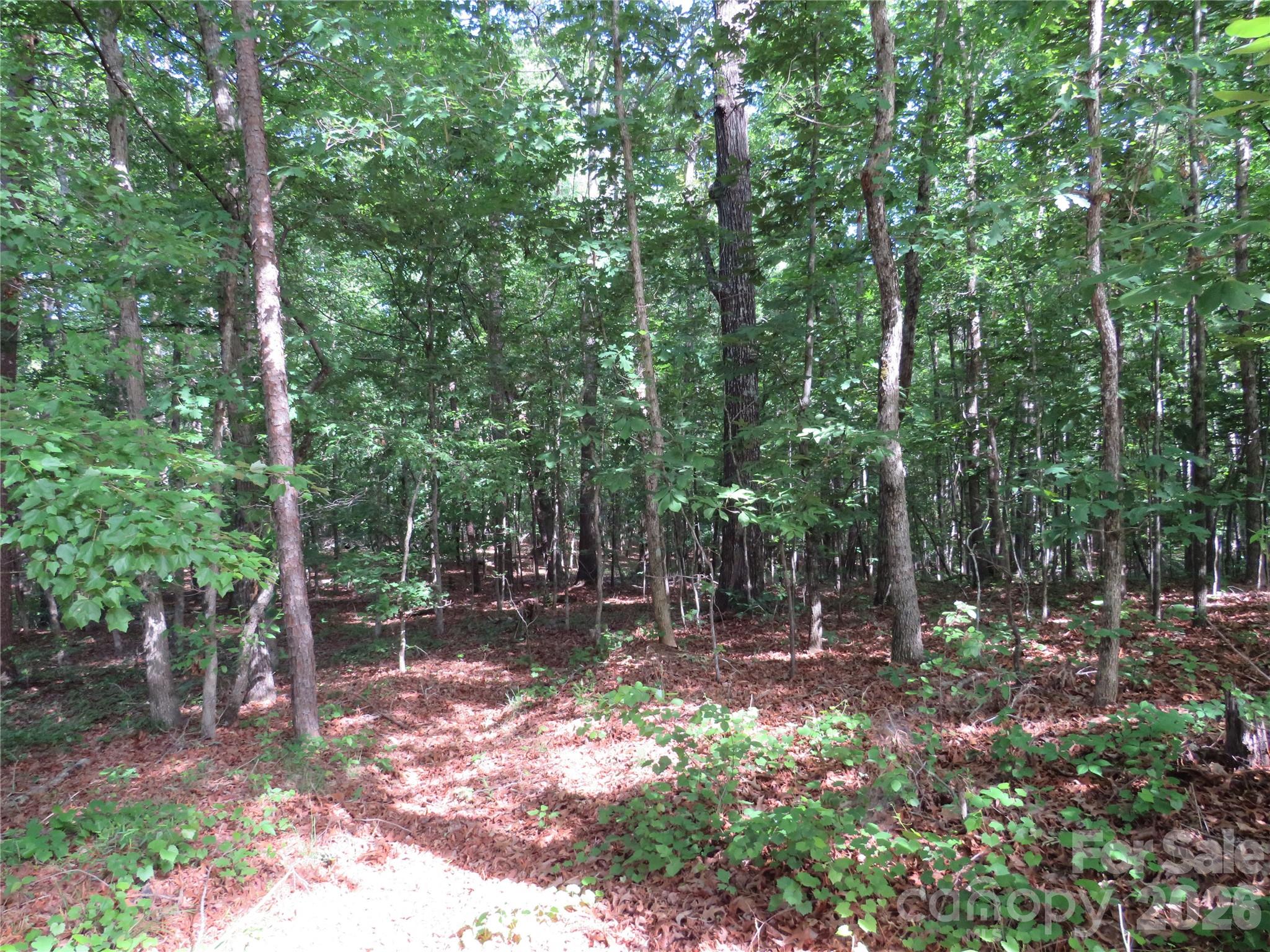 0 South Woodleaf Road Forest City, NC 28043 - Photo 18 of 21