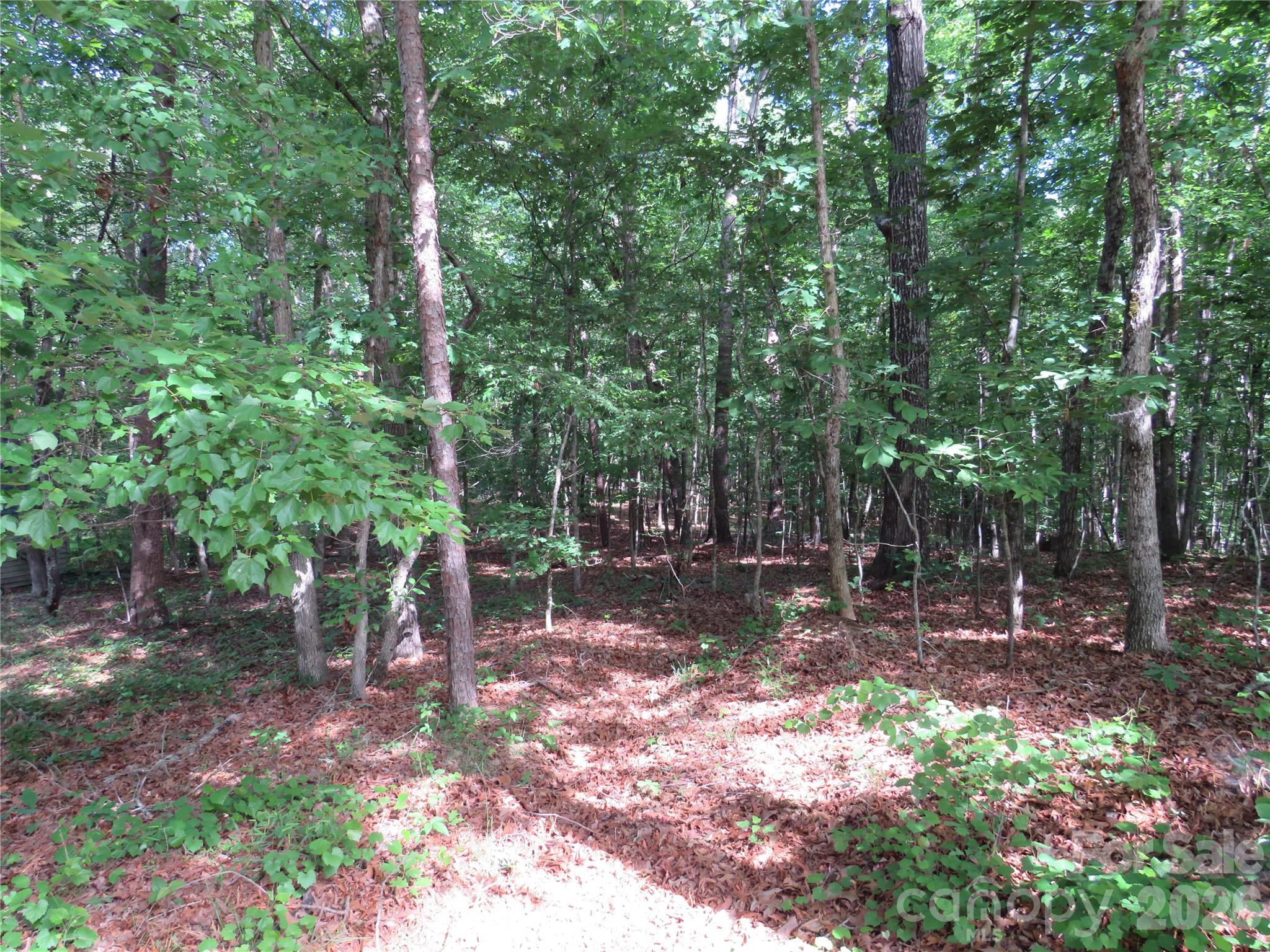 0 South Woodleaf Road Forest City, NC 28043 - Photo 19 of 21