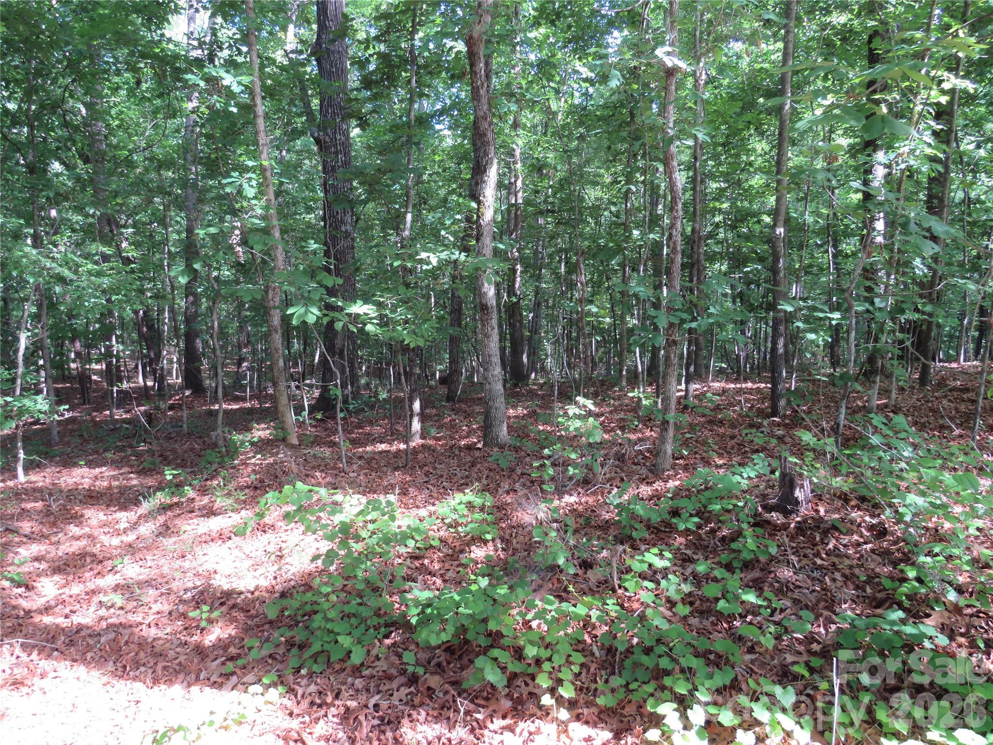 0 South Woodleaf Road Forest City, NC 28043 - Photo 20 of 21