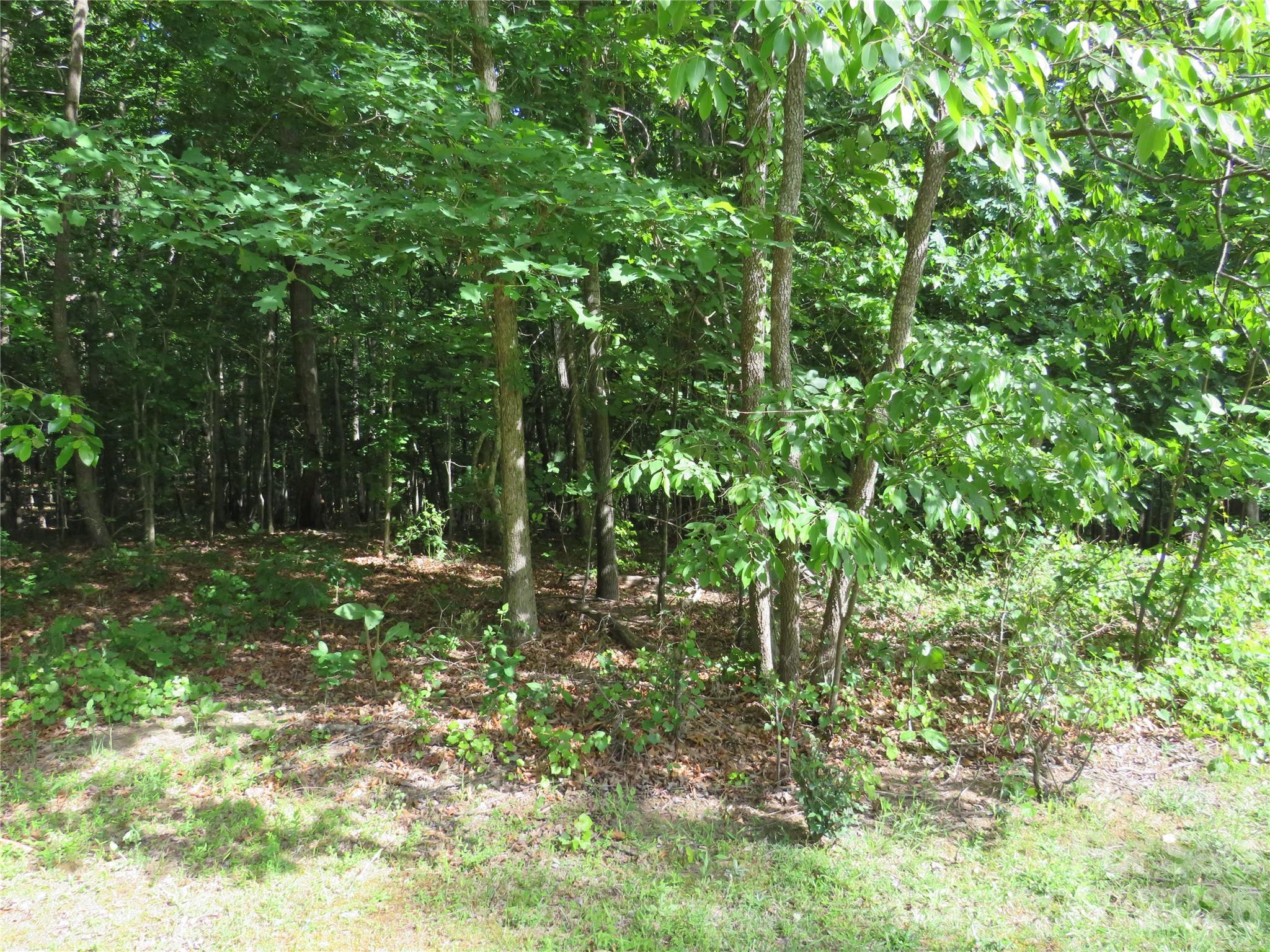 0 South Woodleaf Road Forest City, NC 28043 - Photo 2 of 21