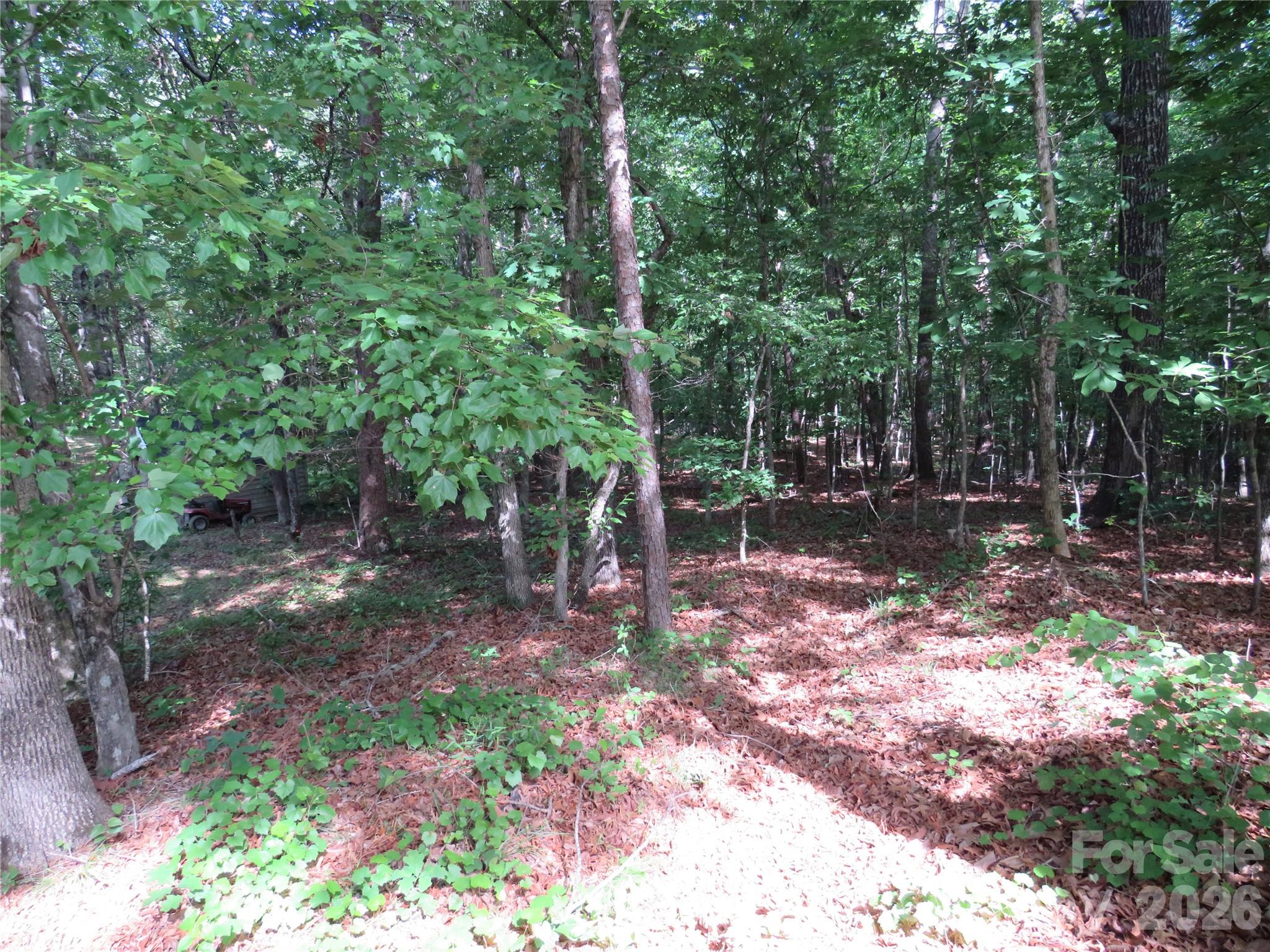 0 South Woodleaf Road Forest City, NC 28043 - Photo 21 of 21