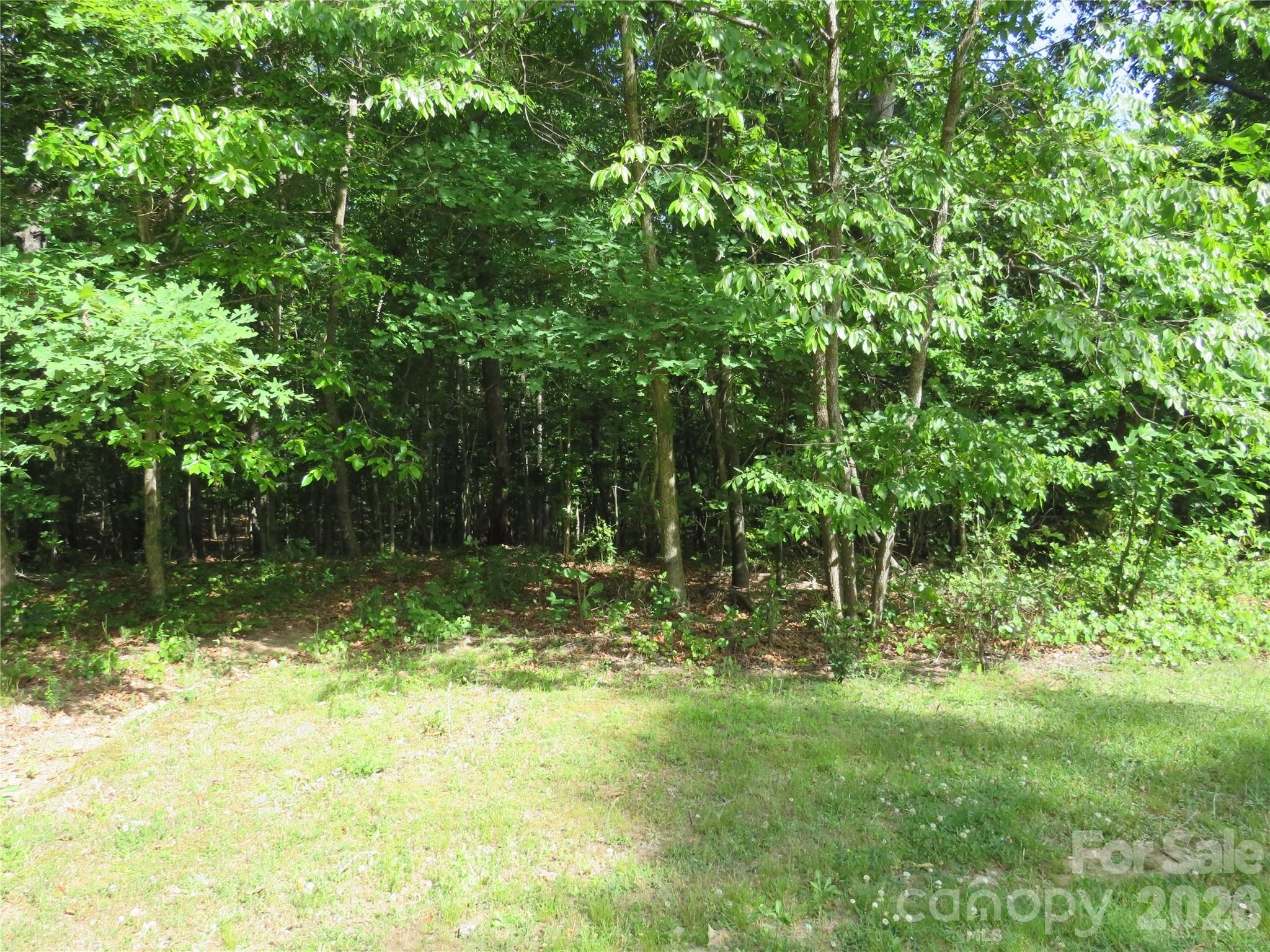 0 South Woodleaf Road Forest City, NC 28043 - Photo 3 of 21