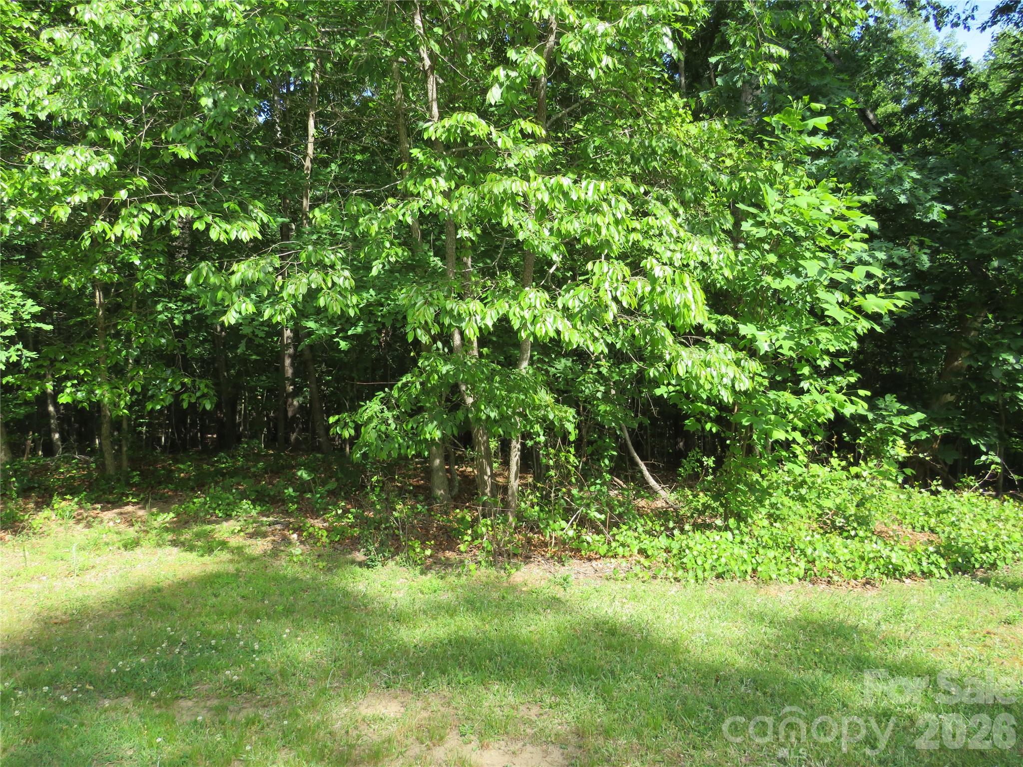 0 South Woodleaf Road Forest City, NC 28043 - Photo 4 of 21