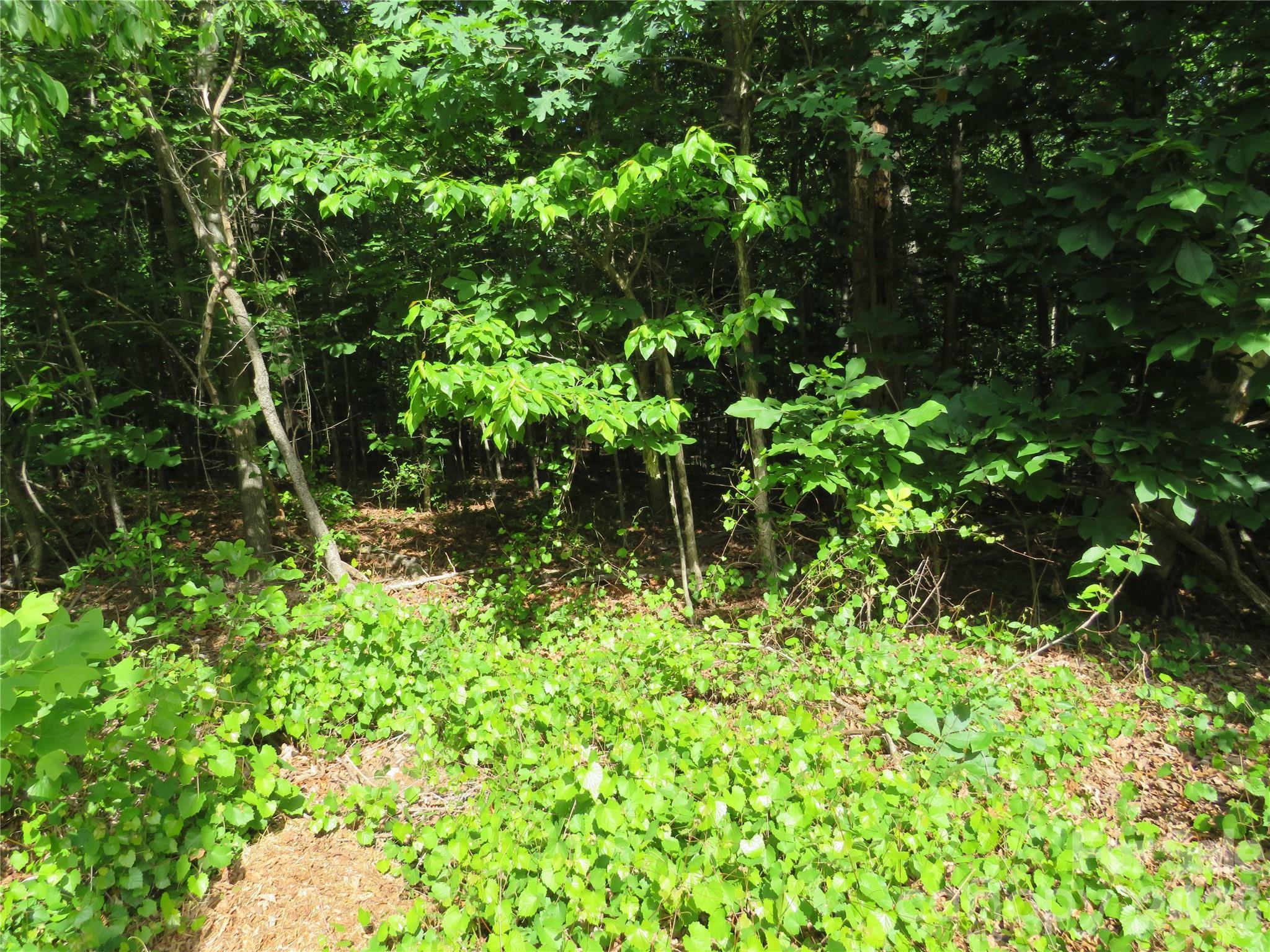 0 South Woodleaf Road Forest City, NC 28043 - Photo 5 of 21
