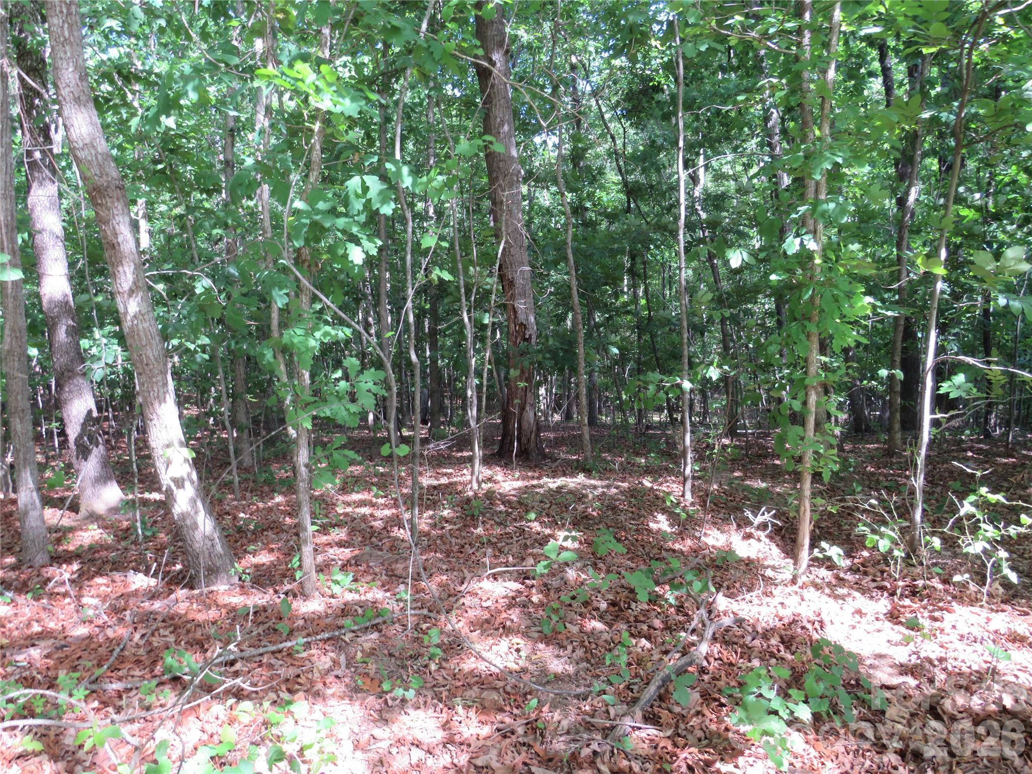 0 South Woodleaf Road Forest City, NC 28043 - Photo 6 of 21