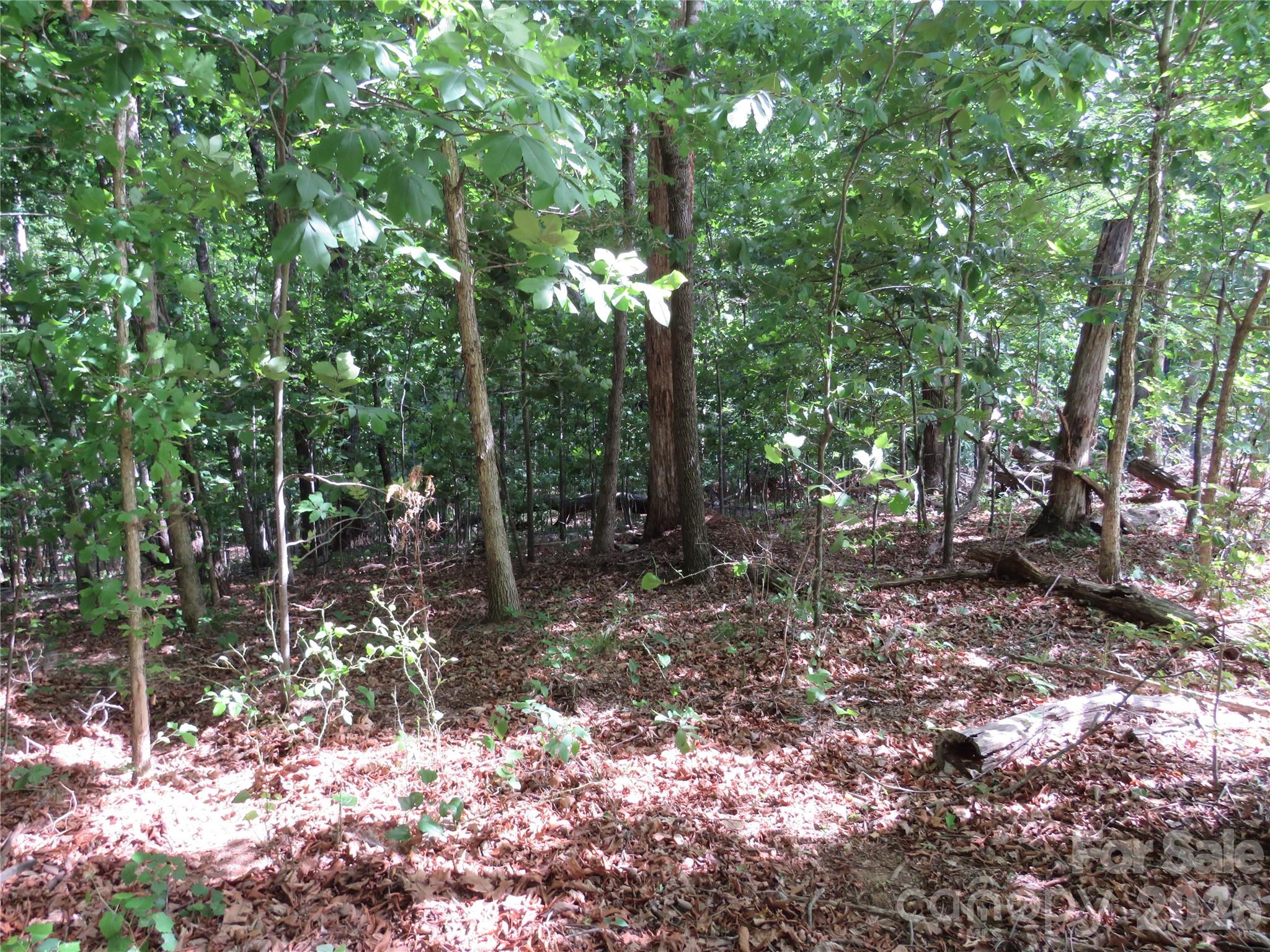 0 South Woodleaf Road Forest City, NC 28043 - Photo 7 of 21