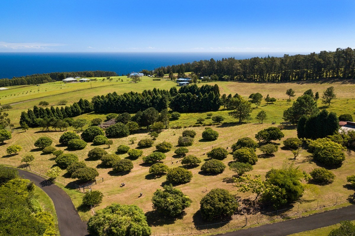 35-1625 Uweki Road Papaaloa, HI 96780 - Photo 16 of 20 a view of a lake