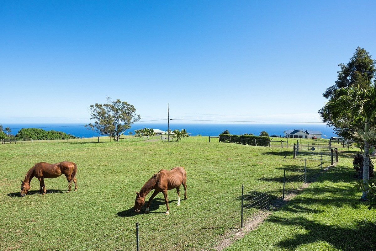 35-1625 Uweki Road Papaaloa, HI 96780 - Photo 2 of 20 a view of a golf course with chairs