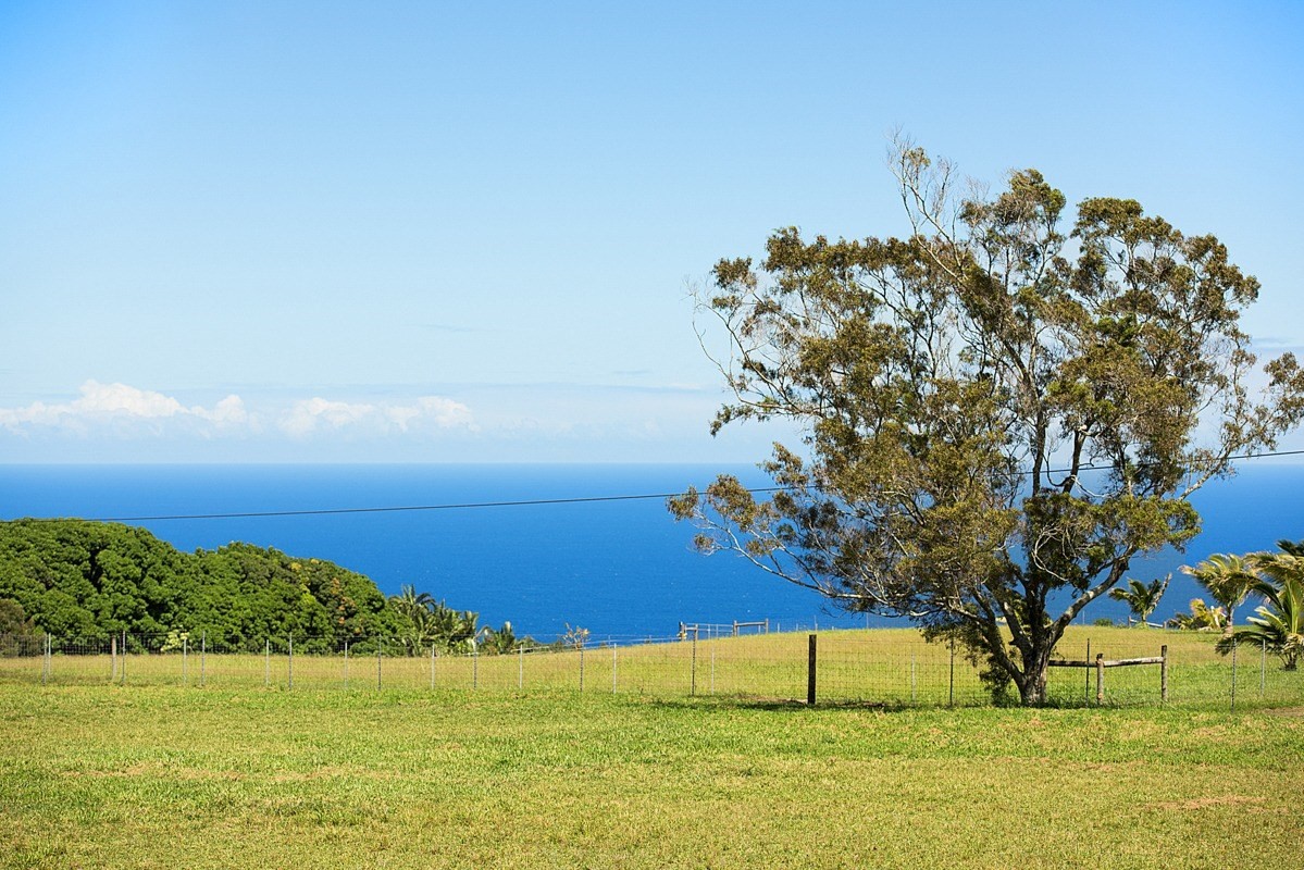 35-1625 Uweki Road Papaaloa, HI 96780 - Photo 4 of 20 a view of ocean