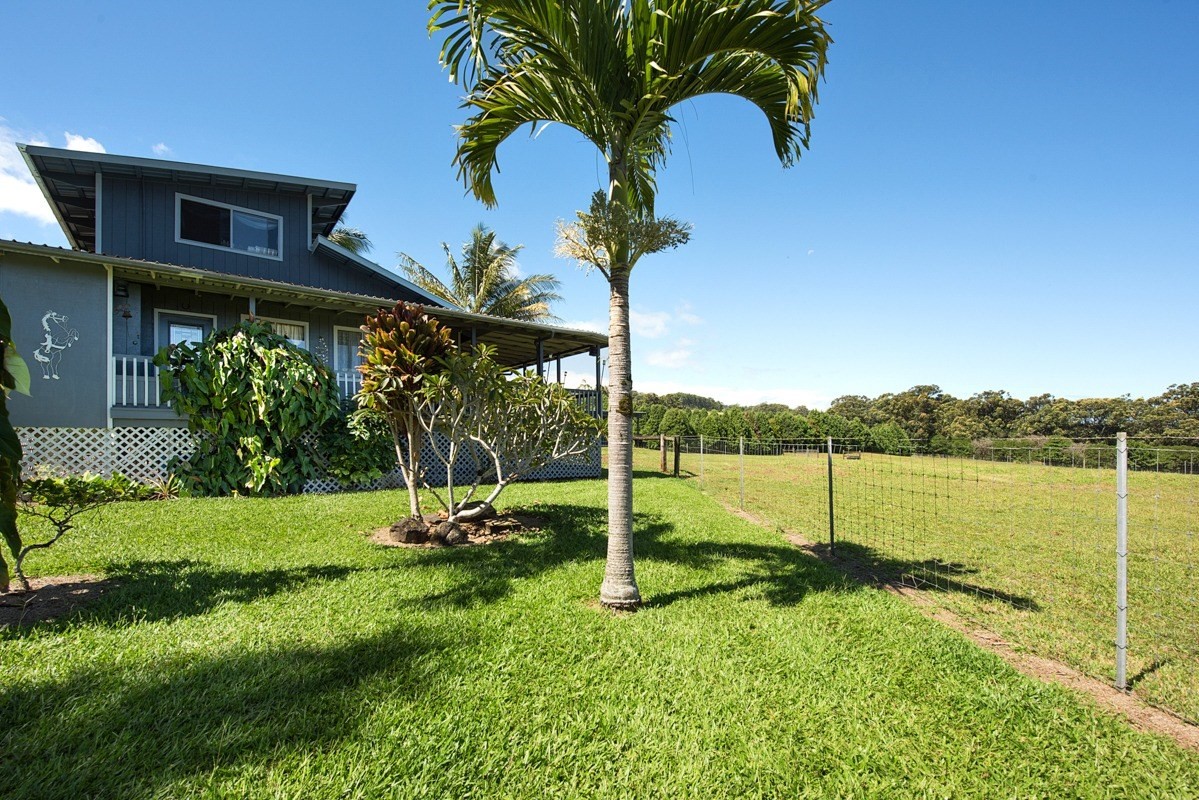35-1625 Uweki Road Papaaloa, HI 96780 - Photo 6 of 20 a backyard of a house with table and chairs
