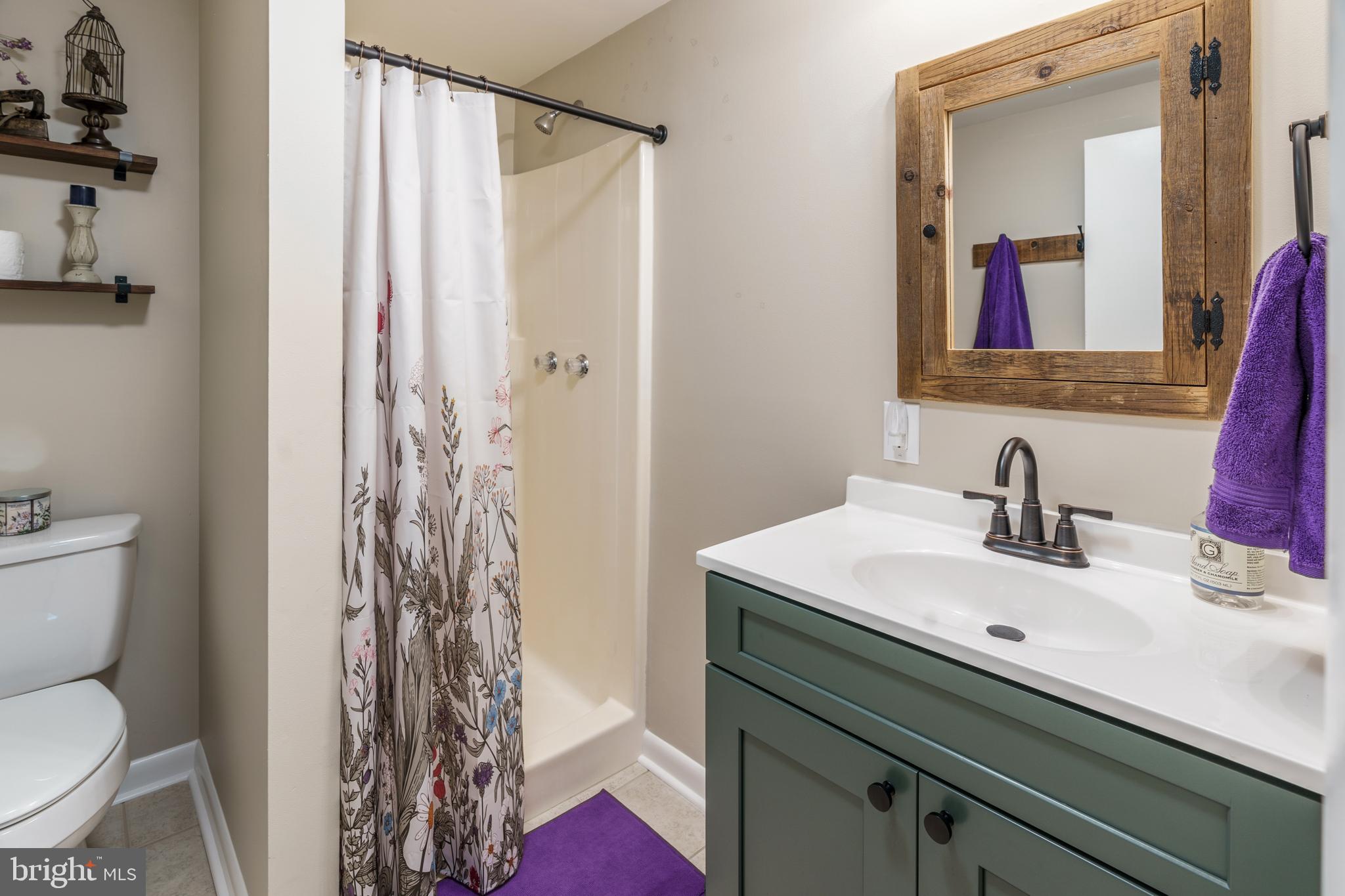 1483 Tea Berry Road Toms Brook, VA 22660 - Photo 45 of 73 Gallery Image 45