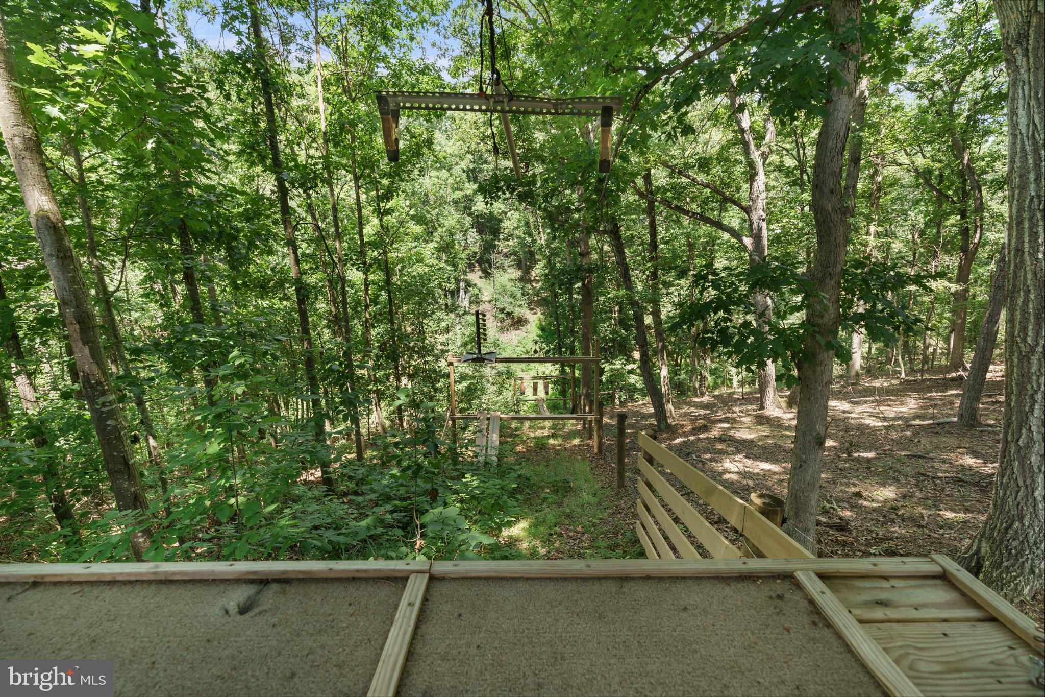 1483 Tea Berry Road Toms Brook, VA 22660 - Photo 63 of 73 Gallery Image 63