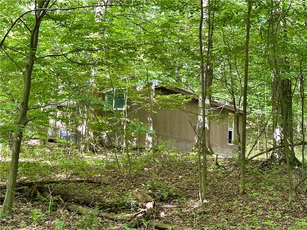 0 Lanning Road Naples, NY 14512 - Photo 23 of 33