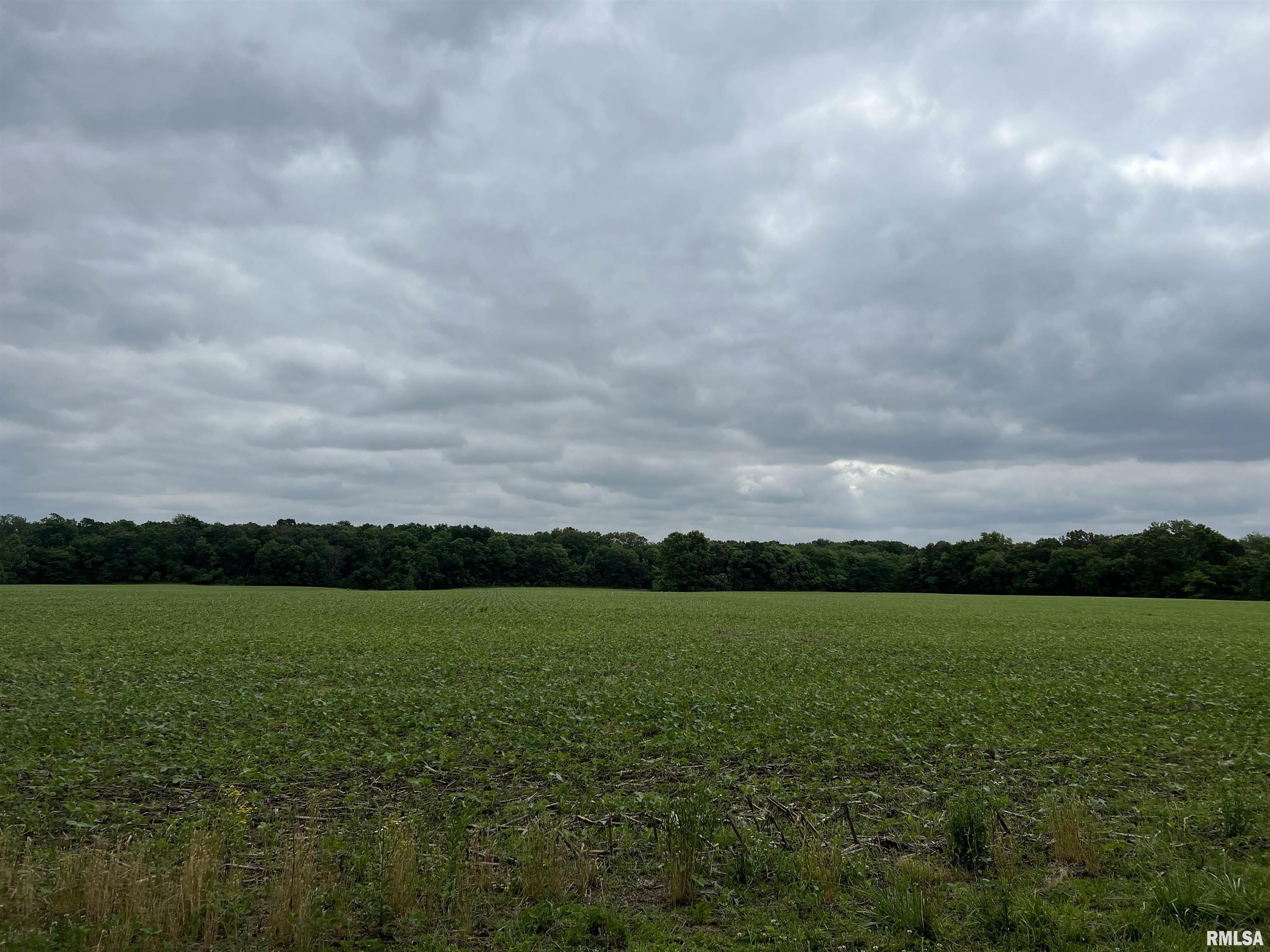 0 Forbes Road Kinmundy, IL 62854 - Photo 1 of 1