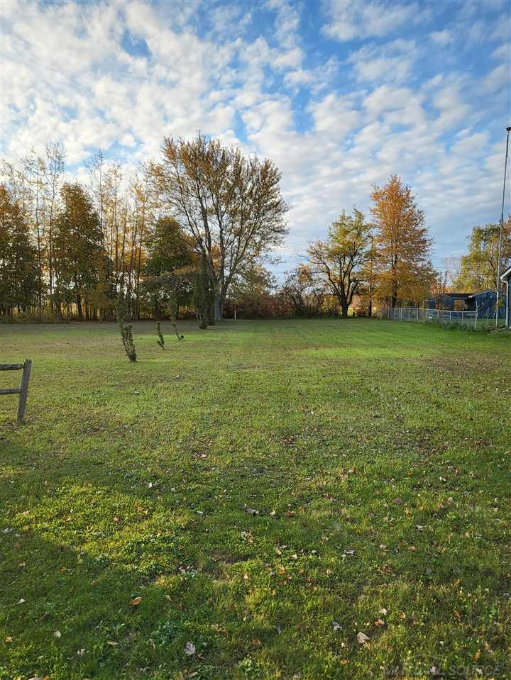 Tbd Woodbine Road Lexington, MI 48450 - Photo 2 of 16