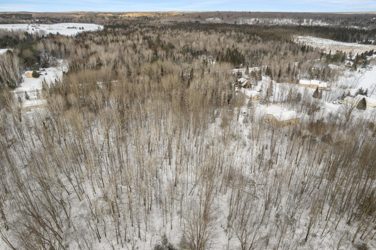 3435 Wurm Road Wolverine, MI 49799 - Photo 18 of 26 DJI_0515