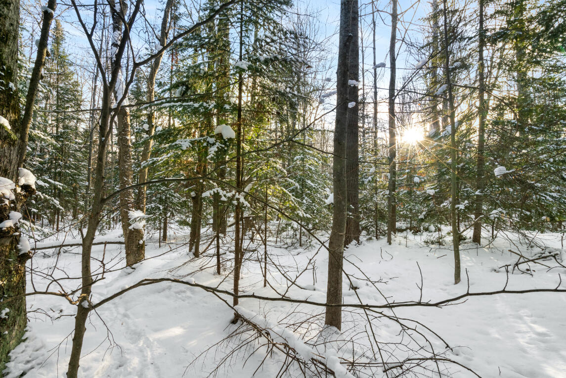 3435 Wurm Road Wolverine, MI 49799 - Photo 2 of 26 A7R09853