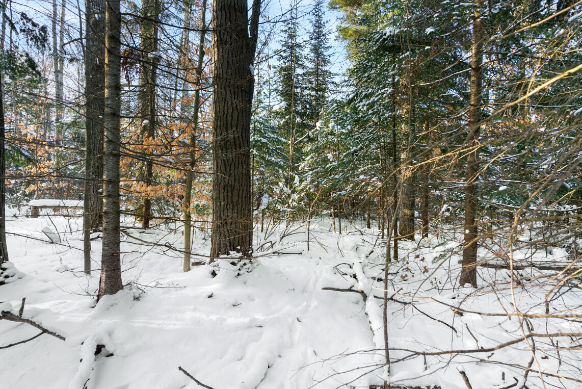 3435 Wurm Road Wolverine, MI 49799 - Photo 3 of 26 A7R09837