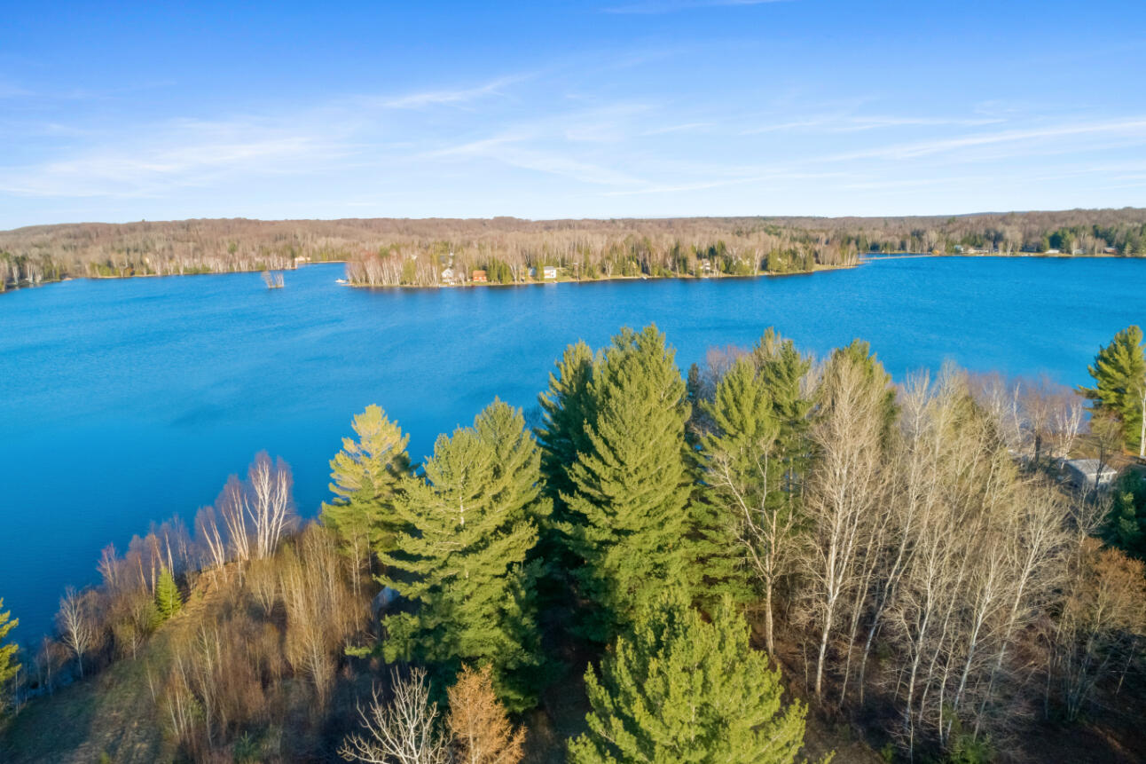 3435 Wurm Road Wolverine, MI 49799 - Photo 7 of 26 DJI_0019