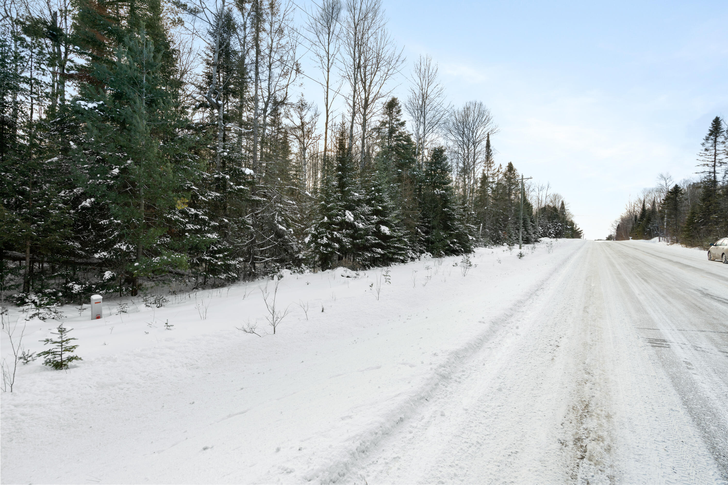 3435 Wurm Road Wolverine, MI 49799 - Photo 8 of 26 A7R09788