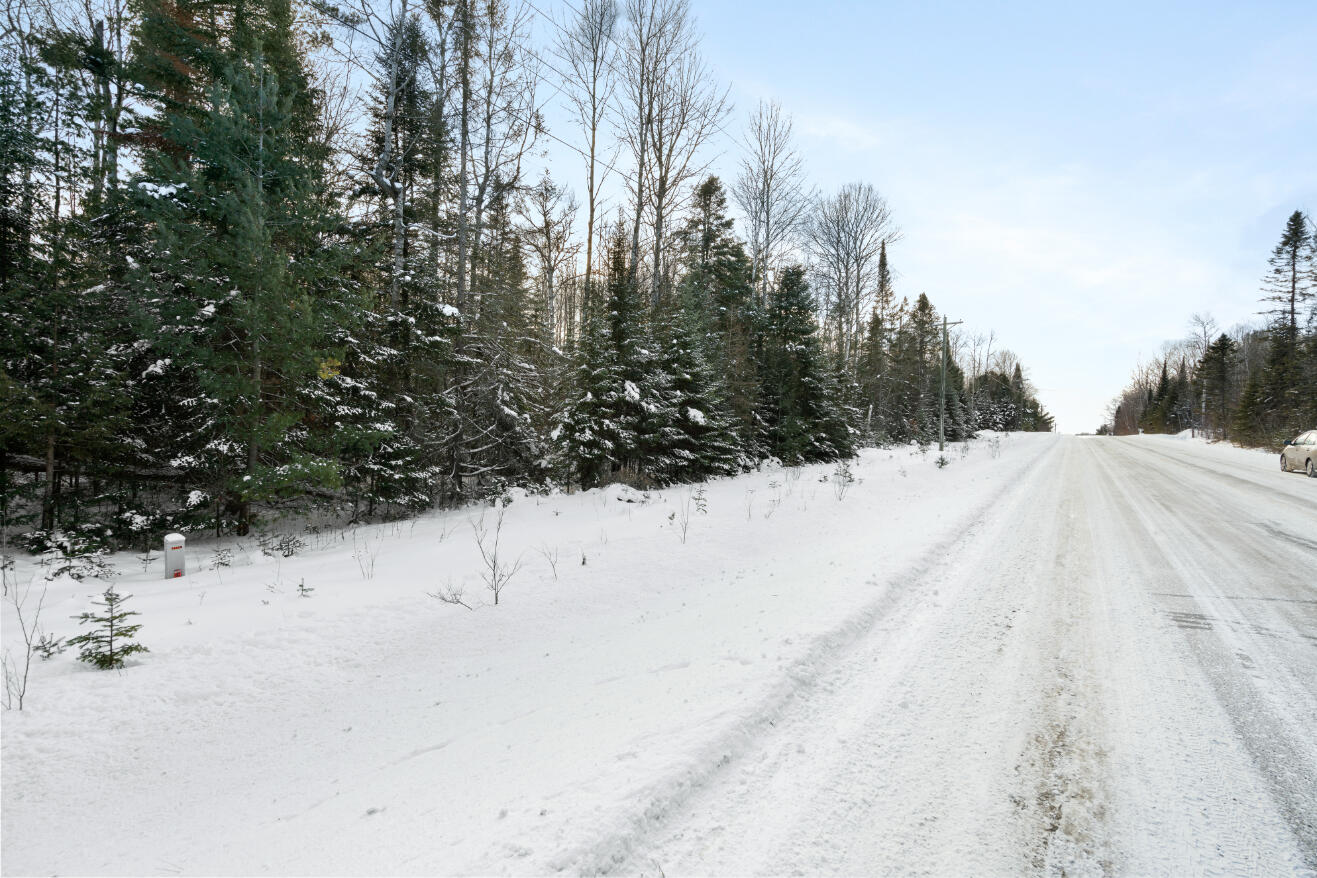 3435 Wurm Road Wolverine, MI 49799 - Photo 10 of 26 A7R09788